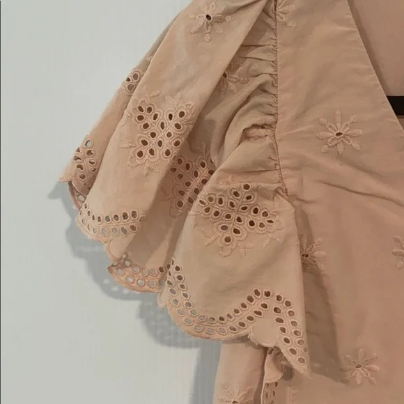 Loft Embroidered Eyelet Mini Dress in dusty pink - Picture 5 of 10